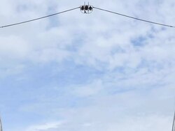 People in bungee chair wide view Stock Footage