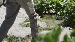 Mont Blanc glacier and climber News Clip