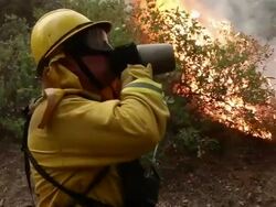 Rim Fire Burns Near Yosemite National Park Stock Footage