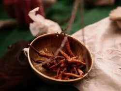CU Weighing extraction of sex herb / Durma, Banke District, Nepal Stock Footage