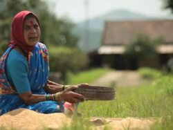 Senior woman sieving wheat, Malshej Ghat, Maharashtra, India Stock Footage