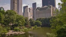 Central park, new york Stock Footage