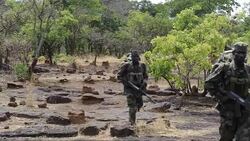 CLEAN: Blood, sweat and jungle: hunting Kony with Uganda's squads News Clip