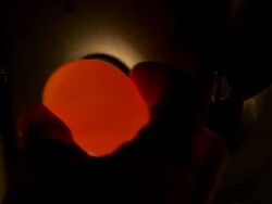 Extreme close up of employee hand-checking eggs. Stock Footage