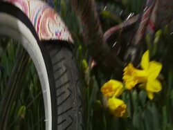 Liberty Of London For Target Experience & Shopping Event Stock Footage