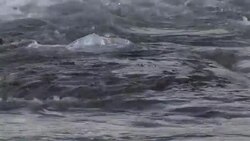 Plastic Waste Washed up on Maltese Coast News Clip