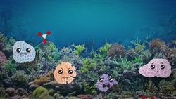 Coral Reefs Are Dying. But They Don't Have To. Instructional Video