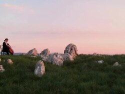 CRANE: Musician Inspired By Nature Stock Footage