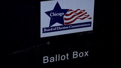CLEAN : People in Illinois vote in presidential primaries News Clip
