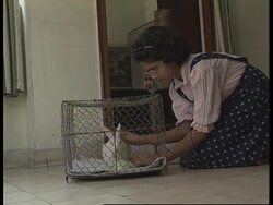 INDIA: FIRST PET LIBRARY TO OPEN IN CALCUTTA News Clip