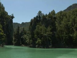 Canyon in the Forest Stock Footage