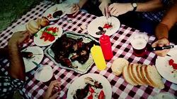 picnic Stock Footage