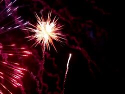 Firework Stock Footage