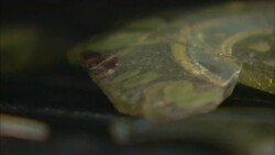 Pieces of ancient glass rotate on a table in an antiquities storeroom. Stock Footage