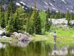 Woman Fly-Fishing in a Mountain Pond Stock Footage