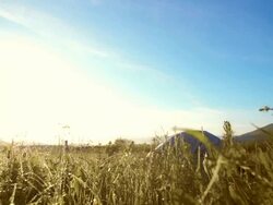 HD: Islamic Man Prostrating In The Grass Stock Footage