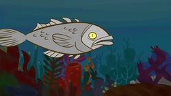 TED-ED: Will the ocean ever run out of fish? - Ayana Elizabeth Johnson and Jennifer Jacquet Instructional Video