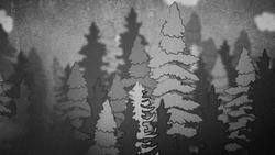 TED-Ed: What's hidden among the tallest trees on Earth? - Wendell Oshiro Instructional Video