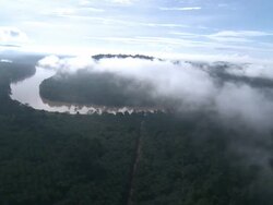 Aerial palm oil plantations and jungle, Maliau Basin, Sabah, Malaysia, Borneo Stock Footage