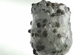 Coffee beans splash : HD Slow motion Stock Footage