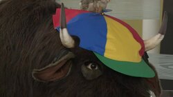 CLEAN : New Google security chief looks for balance with privacy News Clip