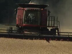 WS  Farmer cutting  wide path of winter wheat with combine during  summer harvest / Dansville, Michigan, United States Stock Footage