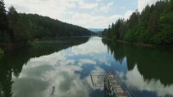 4K Aerial Shot Forest Stock Footage