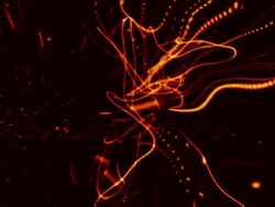 Stroke HD1080, NTSC, PAL Stock Footage