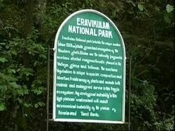 Rare flower which blooms once every 12 years now in flower News Clip