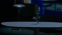 Regina Dugan: From mach-20 glider to hummingbird drone Instructional Video