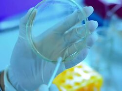 Scientist and bio lab experiment Stock Footage