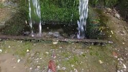 Spring water Stock Footage