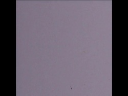 SYND 15 5 75 FORD AND DUTCH PRIME MINISTER SPEAK ON WORLD ENERGY CRISIS News Clip