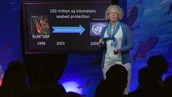 Kristina Gjerde: Making law on the high seas Instructional Video