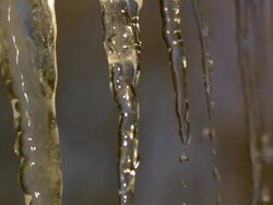 CU SLO MO Icicles dripping on natural background / Morristown , New Jersey, USA  Stock Footage