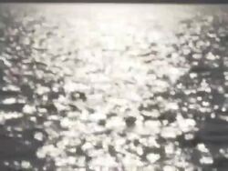 Kayaking with sparkling waves on East Bay Stock Footage