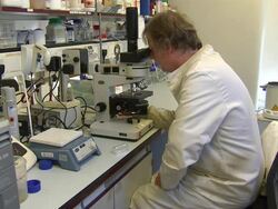 Scientist looking through Microscope stockshots at Sheffield University News Clip