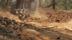 HD : Land Clearing Stock Footage