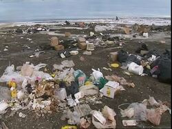 Rubbish, Manitoba, Canada Stock Footage