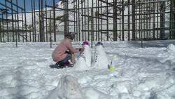 CLEAN : Just north of Tehran, Iranians take part in snowman festival News Clip