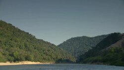 A river flows between forested mountains. Stock Footage