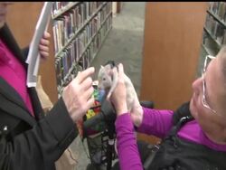Four-legged friends that service the disabled don't just have to be dogs, but the federal government is placing new limits on what is a "service animal." The AP's John Mone spoke with a woman who smelled a "rat" in the interpretation of the laws. News Clip