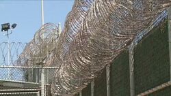 CLEAN : A different Guantanamo: Detainee art on display in New York News Clip