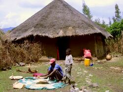 MS Tribe man working shifting wheat from chaff  corn in front of humble house / Melka Country, Ethiopia Stock Footage