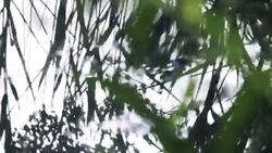 Sunset water reflection Stock Footage