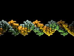 DNA Molecule Model - PAL Stock Footage