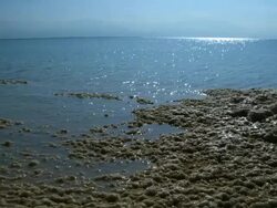 MS Shot of Dead sea salt panns with sky reflection / Ein Bokek, Judea Desert, Israel Stock Footage