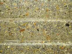 Waste Water Treatment Plant Screening Conveyor Stock Footage