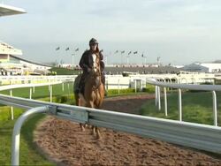 Preview of the Grand National News Clip