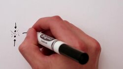 The Arrow of Time feat. Sean Carroll Instructional Video